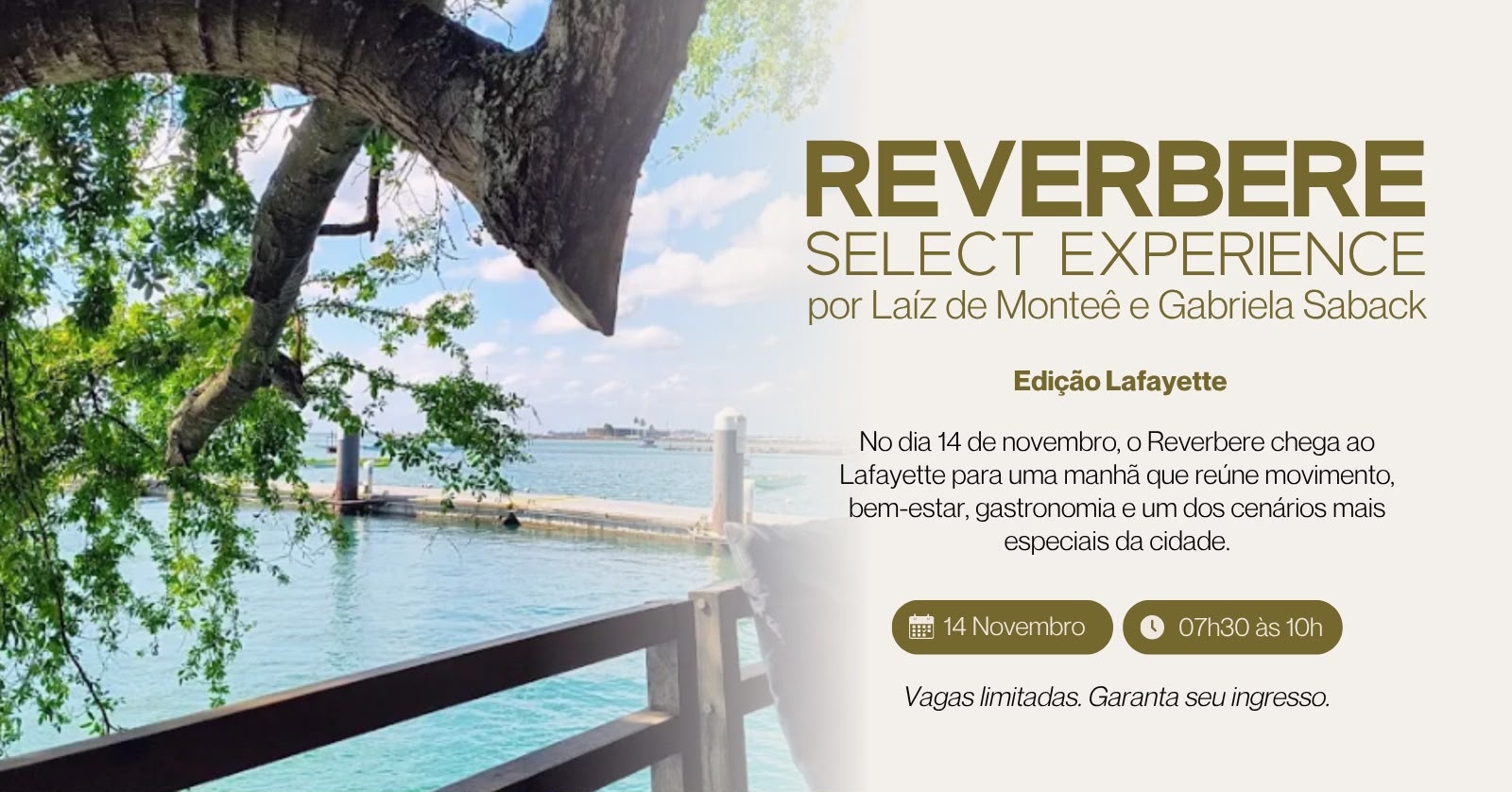Source image — Reverbere Experience Select