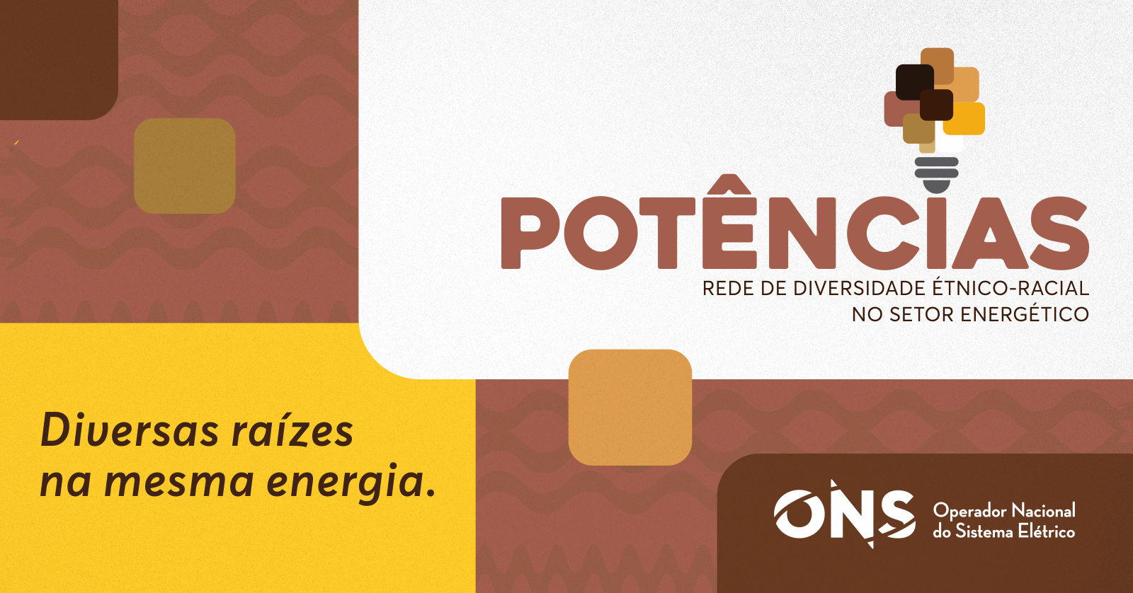Afbeelding van de bron — Lançamento Rede POTÊNCIAS