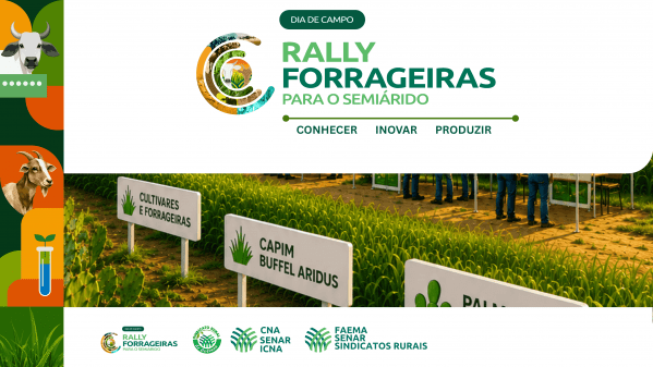 Imagem do evento Dia de Campo | Rally Forrageiras para o Semiárido  Etapa Maranhão
