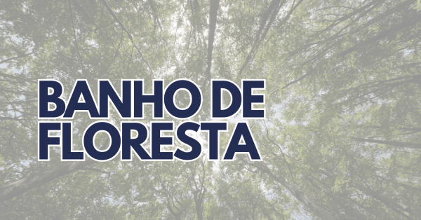 Imagem do evento Banho de Floresta | Ritual de Renovação e Conexão com a Natureza