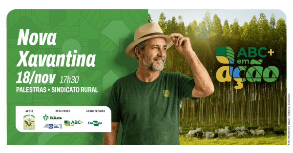 Imagem do evento ABC+ em Ação - Nova Xavantina-MT