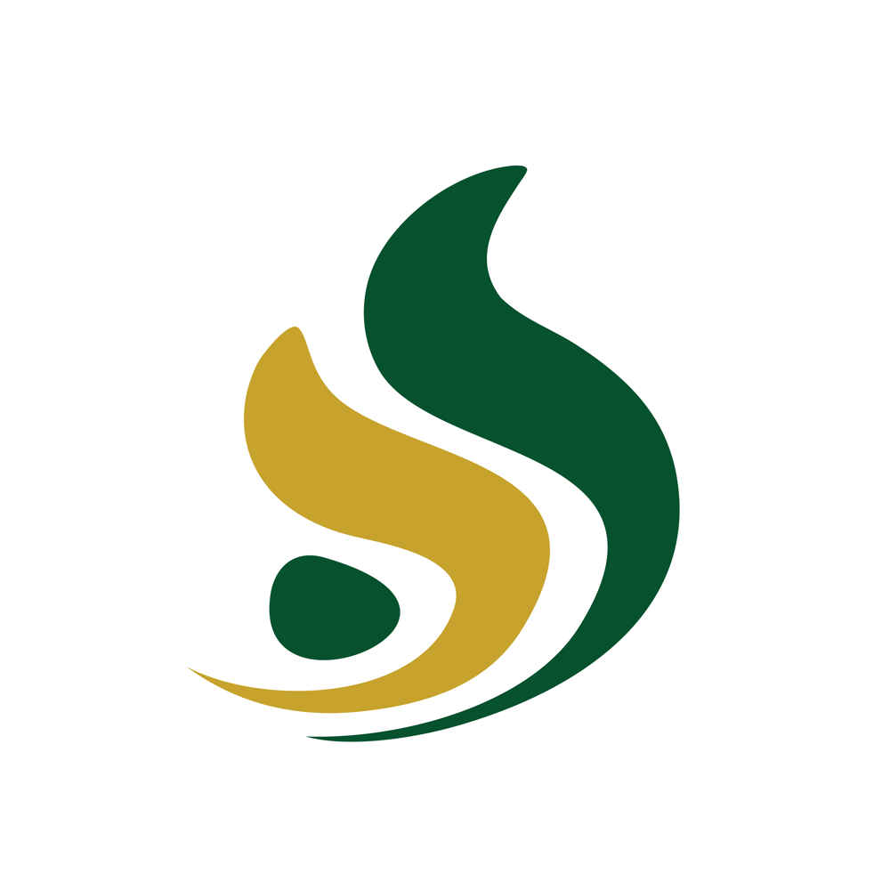 organizer