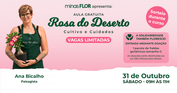 Imagem do evento Aula Gratuita - Rosa do Deserto - cultivo e cuidados| Minas Flor